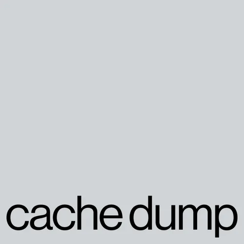 Cover artwork for "cache dump"